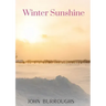 Winter Sunshine