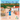 The Spanglish Girl / La Chica Espanglish