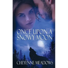 Once Upon a Snowy Moon