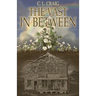 The Vast In Between
