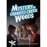 Mystery in Crooked Creek Woods: Tree Street Kids (Book 4)