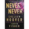 Never Never: A Romantic Suspense Novel of Love and Fate