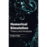 Numerical Simulation: Theory and Analysis