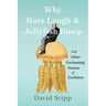 Why Rats Laugh and Jellyfish Sleep: And Other Enchanting Stories of Evolution