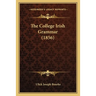 The College Irish Grammar (1856)