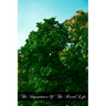 The Importance Of The Rural Life: According To The Philosophy Of St. Thomas Aquinas A Study In Economic Philosophy
