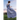 Secrets of a Lady: A Regency Romance