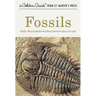 Fossils: A Fully Illustrated, Authoritative and Easy-To-Use Guide