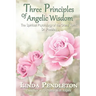 Three Principles of Angelic Wisdom: The Spiritual Psychology of the Grand Spirit, Dr. Peebles