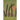 The Green of Sunset