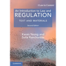 An Introduction to Law and Regulation