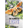 The Glimmer of Light