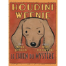 Houdini Weenie: Le Chien du Mystere