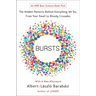 Bursts: The Hidden Patterns Behind Everything We Do, from Your E-mail to Bloody Crusades