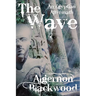 The Wave: An Egyptian Aftermath