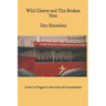 Wild Cherry and The Broken Man