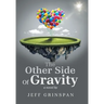 The Other Side Of Gravity: a novel by