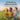 Gratitude to the Natural World: Greetings, Commentary, Reflections, and Activities for Children, Families, and Classrooms