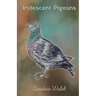 Iridescent Pigeons