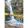 Washed Up: A Gracie Andersen Mystery