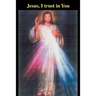 Jesus, I trust in You