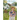 Anne of Green Gables
