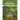 Encyclopedia of Entomology: Volume II