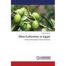Olive Cultivation in Egypt
