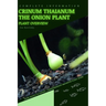 Crinum Thaianum The Onion Plant: From Novice to Expert. Comprehensive Aquarium Plants Guide