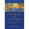 Providence in the Story of Scripture: The Work of God through Creation, Fall, Redemption, and New Creation