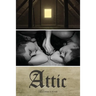 Attic