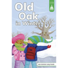 Old Oak in Winter
