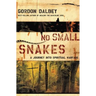 The No Small Snakes: A Journey Into Spiritual Warfare
