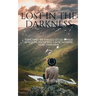 lost in the darkness