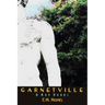 Garnetville: A Gay Novel