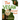 The Vegan Alphabet Book: Let's Learn the Alphabet - Vegan Style!