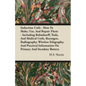 Induction Coils - How To Make, Use, And Repair Them: Including Ruhmkorff, Tesla, And Medical Coils, Roentgen, Radiography, Wireless Telegraphy, And Pr