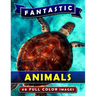 Fantastic Animals: Picture Book Gift for Adults, Seniors and People with Alzheimer's & Dementia. Dementia Activities for Seniors Book.