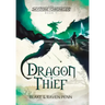 The Skystone Chronicles Book 1: Dragon Thief