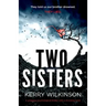 Two Sisters: A gripping psychological thriller with a shocking twist