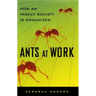 Ants at Work: How an Insect Society Is Organized