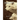Alpha Wolf