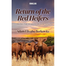 Return of the Red Heifers