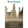 Water Damage: A Tale of New Mexico, New York, Statehood Squalls and Saboteur Storms