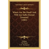 Where Are The Dead? And Will Any Suffer Eternal Torment? (1885)