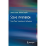 Scale Invariance: From Phase Transitions to Turbulence