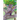 Squirrel Chronicles