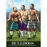 Bulldogs: The Stonking Edition