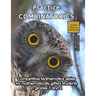 Practice Combinatorics: Level 2 (ages 9 to 11)