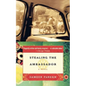 Stealing the Ambassador
